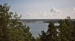 Tullgarns biologiska dammar