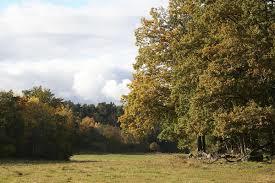 Eldgarnsö naturreservat
