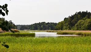 Käringboda naturreservat