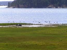 Sandemars naturreservat