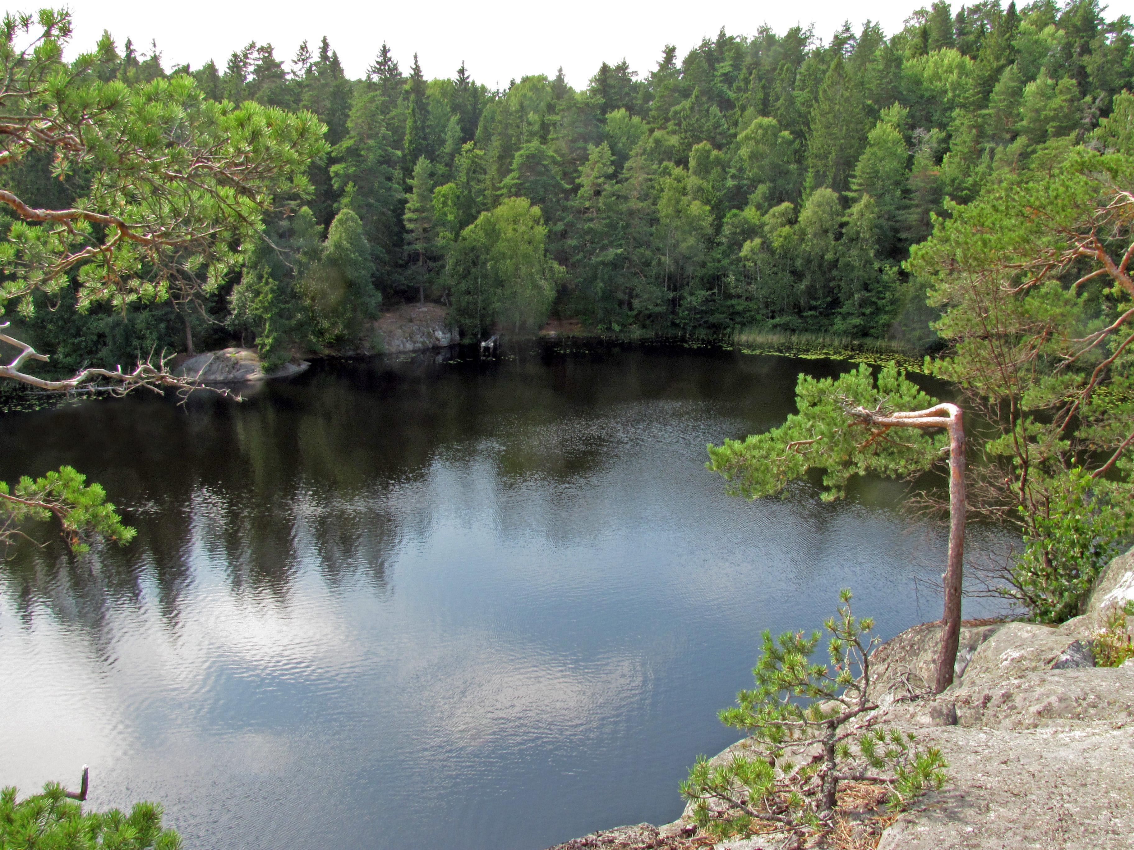 Abborrträsket