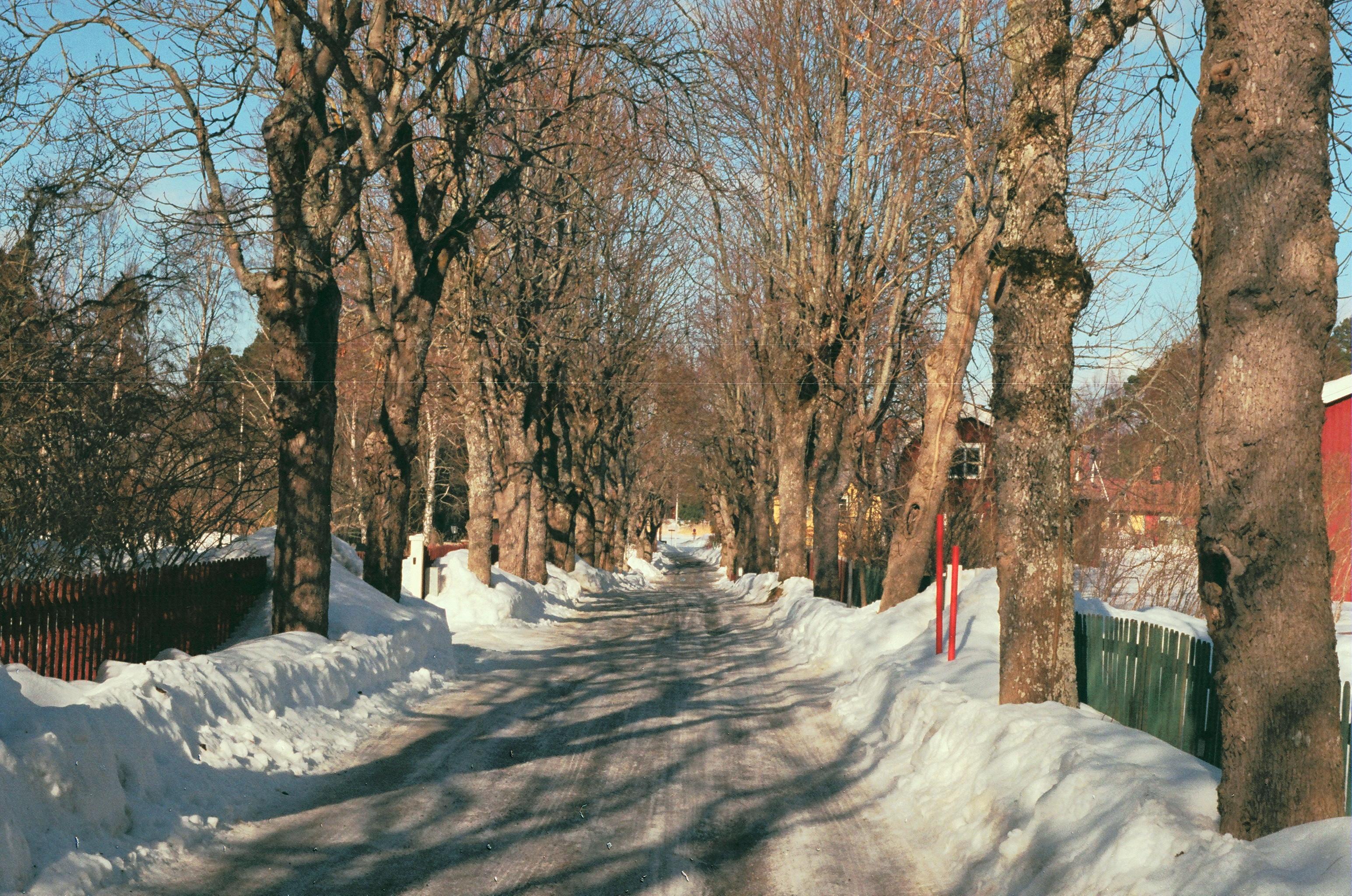 Värmdölandet