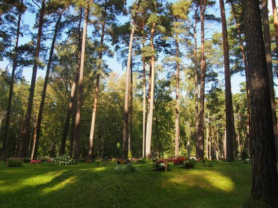 Skogskyrkogården