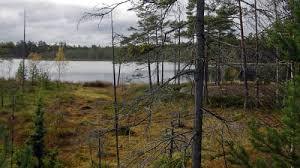 Långviksträsks naturreservat