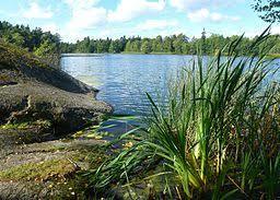 Kocktorpssjön